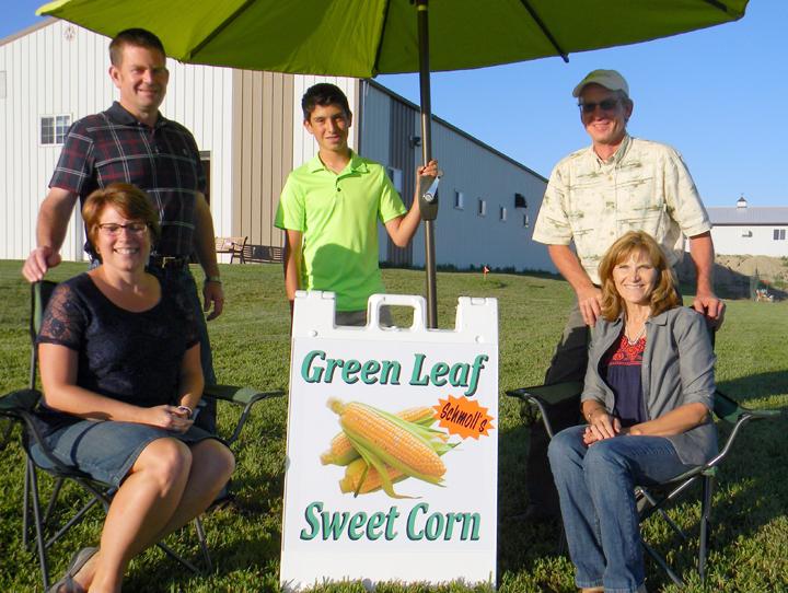Green Leaf Sweet Corn family