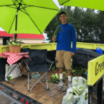 photo olivia square Green Leaf Sweet Corn Stand in Olivia