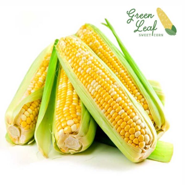 Green Leaf Sweet Corn
